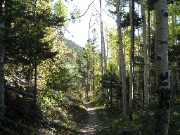 Trail from Cyphers Mine to Hunting Lodge